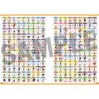 Libro · Pokémon Official National Pokédex 1996-2026 9
