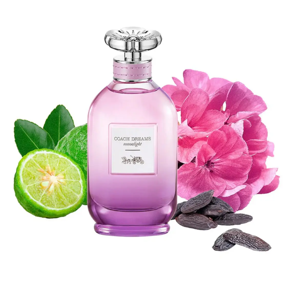 Coach Dreams Moonlight Eau de Parfum 7
