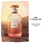 Coach Dreams Sunset Eau de Parfum - Thumbnail 4