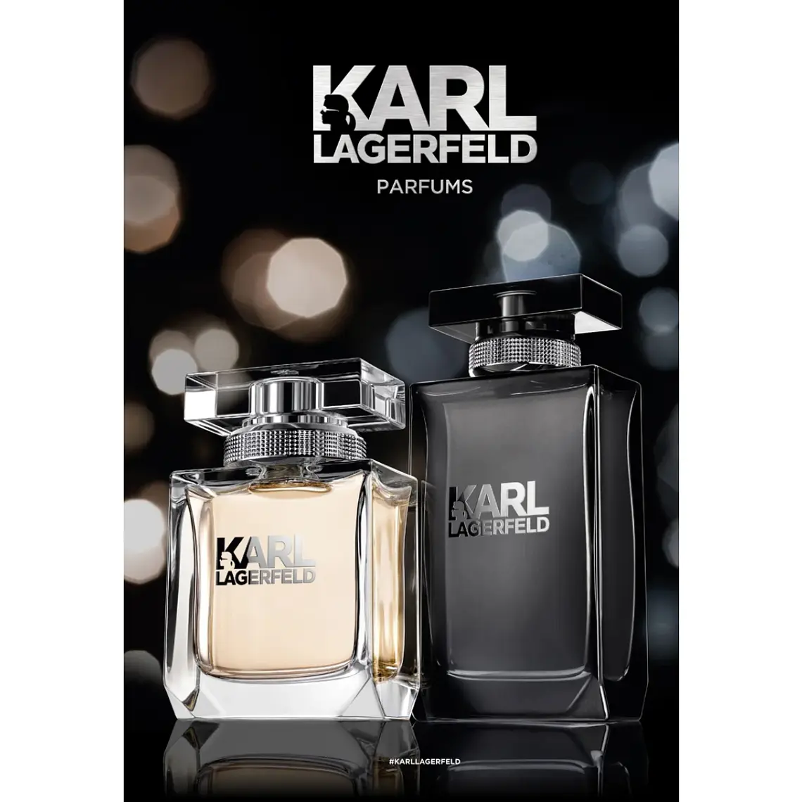 Karl Lagerfeld Pour Femme Eau de Parfum 4