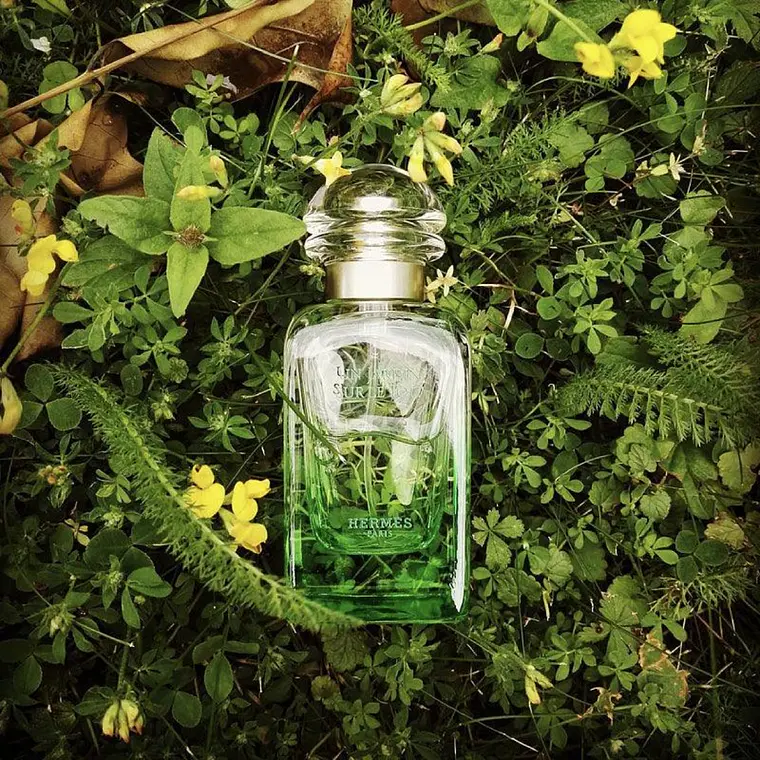 Hermès Un Jardin Sur Le Toit Unissexo Eau de Toilette 4