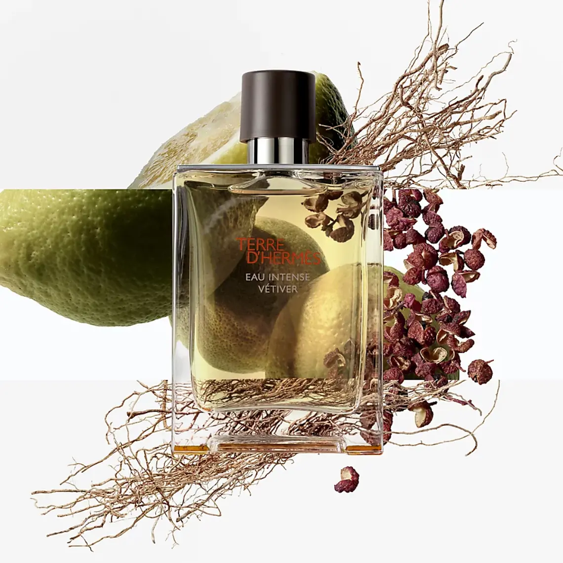 Hermès Terre D'Hermès Eau Intense Vetiver Eau de Parfum 3