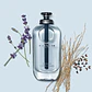 Coach Open Road Man Eau de Toilette - Thumbnail 5