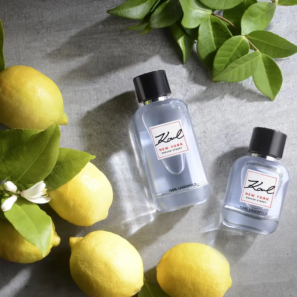 Karl Lagerfeld Karl New York Mercer Street Eau de Toilette 3