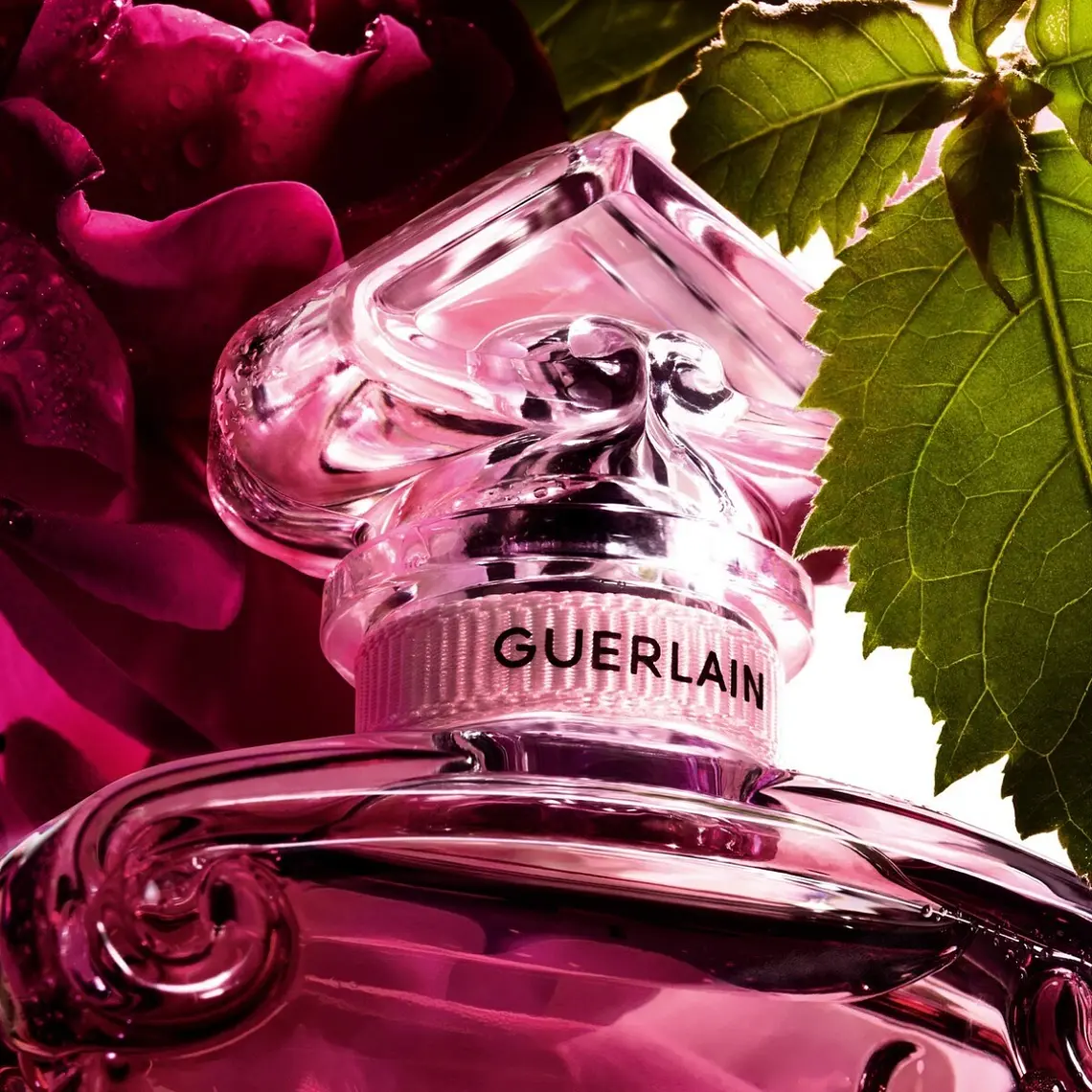 Guerlain La Petite Robe Noire Woman Eau de Parfum 5