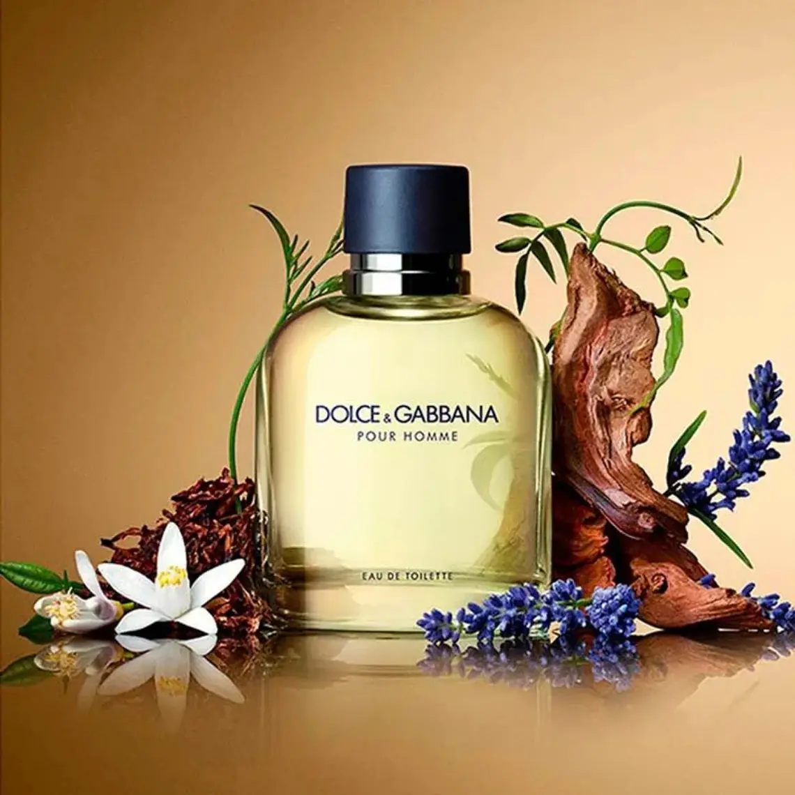 Dolce & Gabbana Pour Homme Eau de Toilette 6