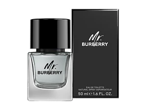 Burberry Mr. Burberry Eau de Toilette