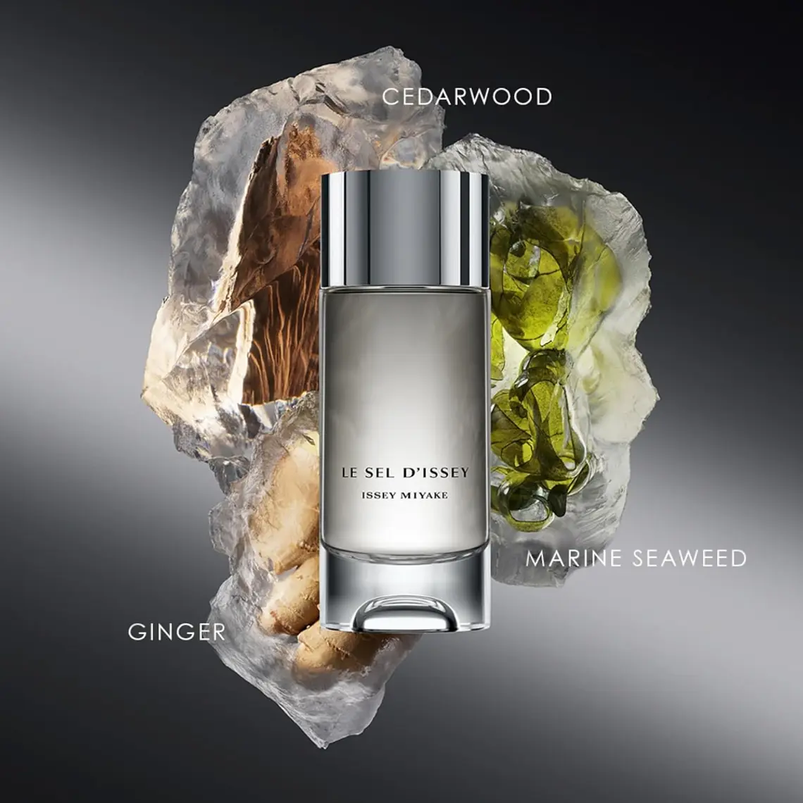 Issey Miyake Le Sel D´Issey Eau de Toilette 5