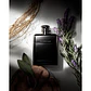 Ralph Lauren Ralph's Club Man Parfum - Thumbnail 3
