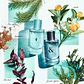 Tiffany & Co. Tiffany & Love Eau de Parfum - Thumbnail 4