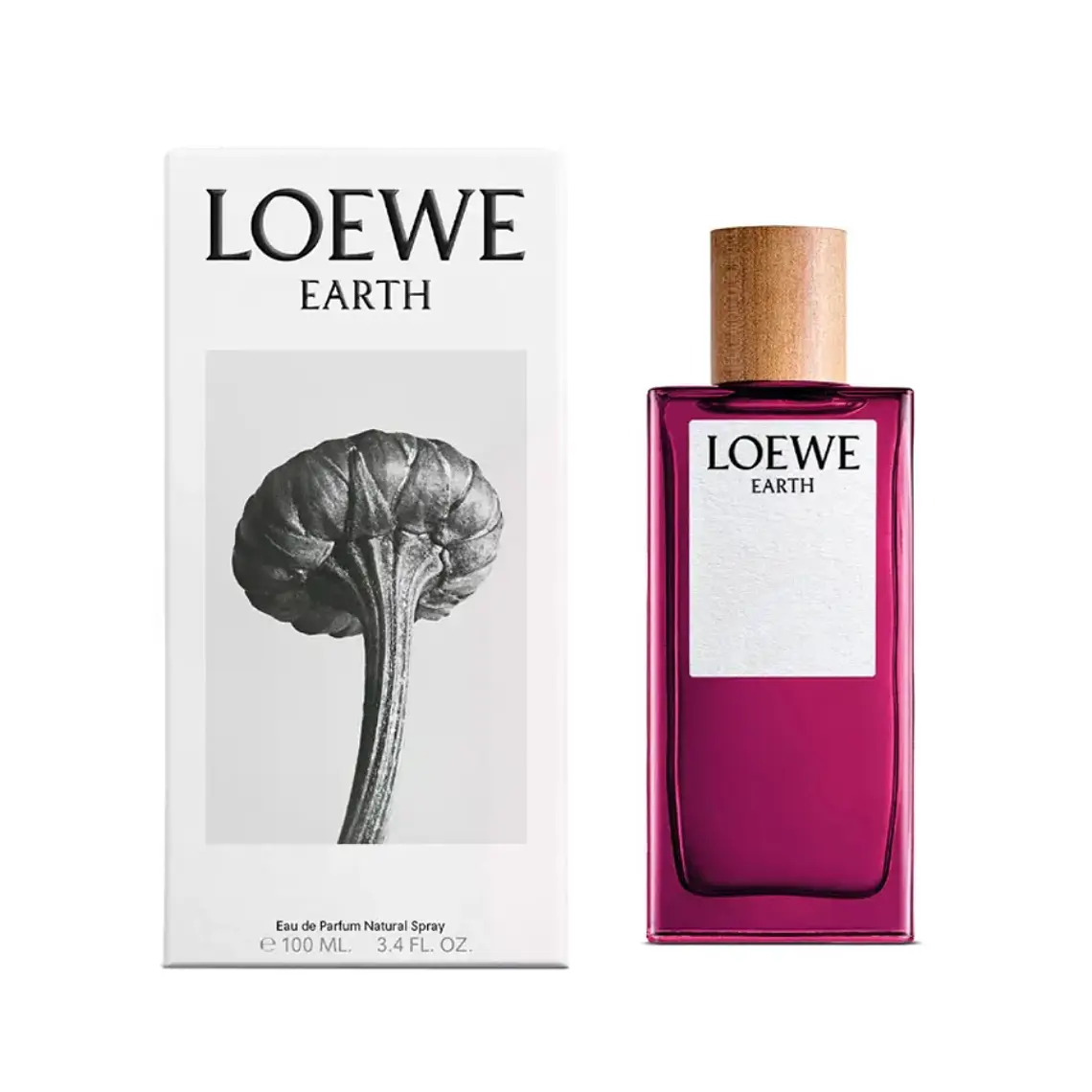 Loewe Earth Unissexo Eau de Parfum 2