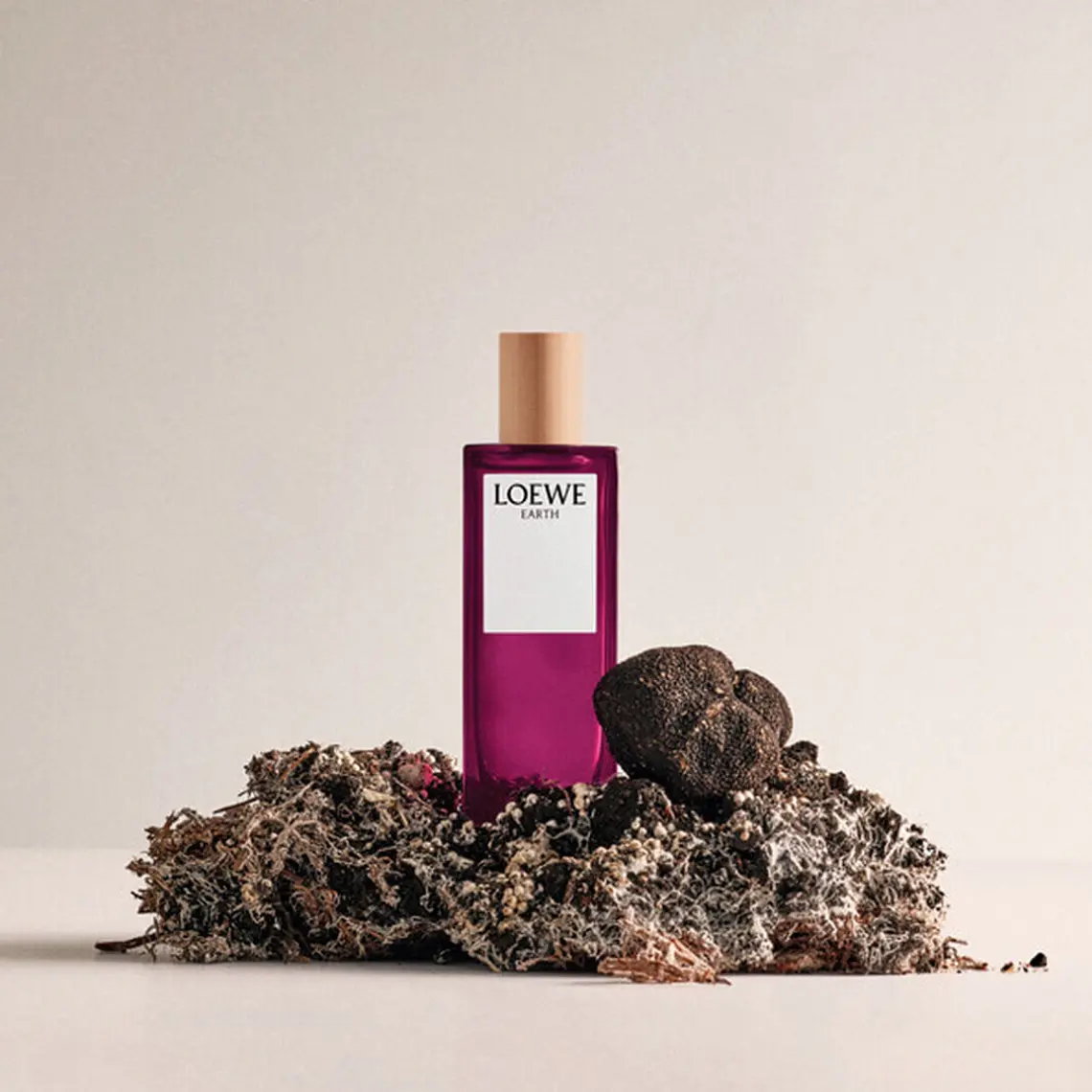 Loewe Earth Unissexo Eau de Parfum 6