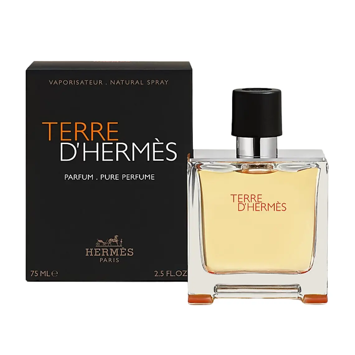 Hermès Terre D'Hermès for Man Pure Parfum 1