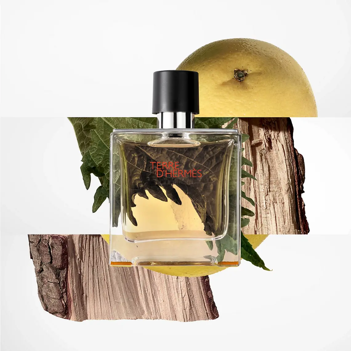 Hermès Terre D'Hermès for Man Pure Parfum 6