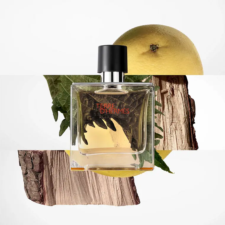 Hermès Terre D'Hermès for Man Pure Parfum 6