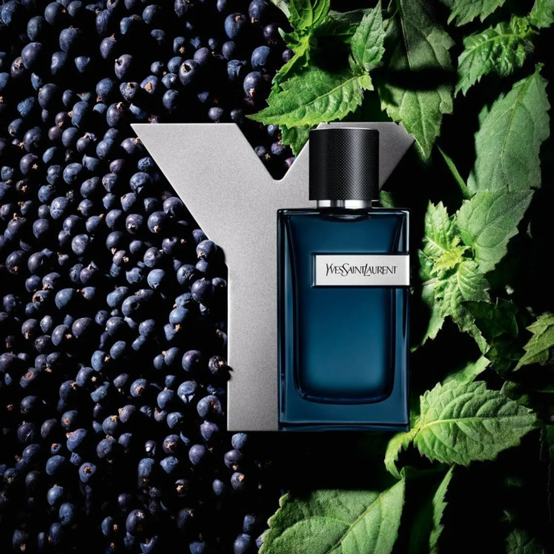 Yves Saint Laurent Y Man Eau de Parfum Intense 3