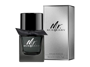 Burberry Mr. Burberry Eau de Parfum