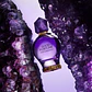 Viktor & Rolf Good Fortune Woman Eau de Parfum - Thumbnail 6