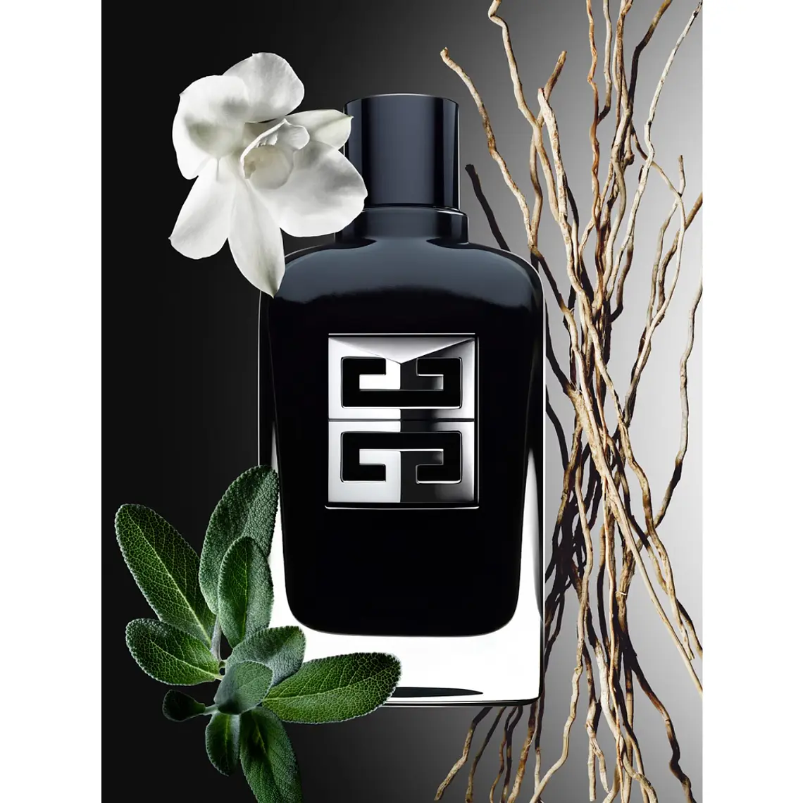 Givenchy Gentleman Society Eau de Parfum 3