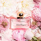 Salvatore Ferragamo Signorina In Fiore Eau de Toilette - Thumbnail 3