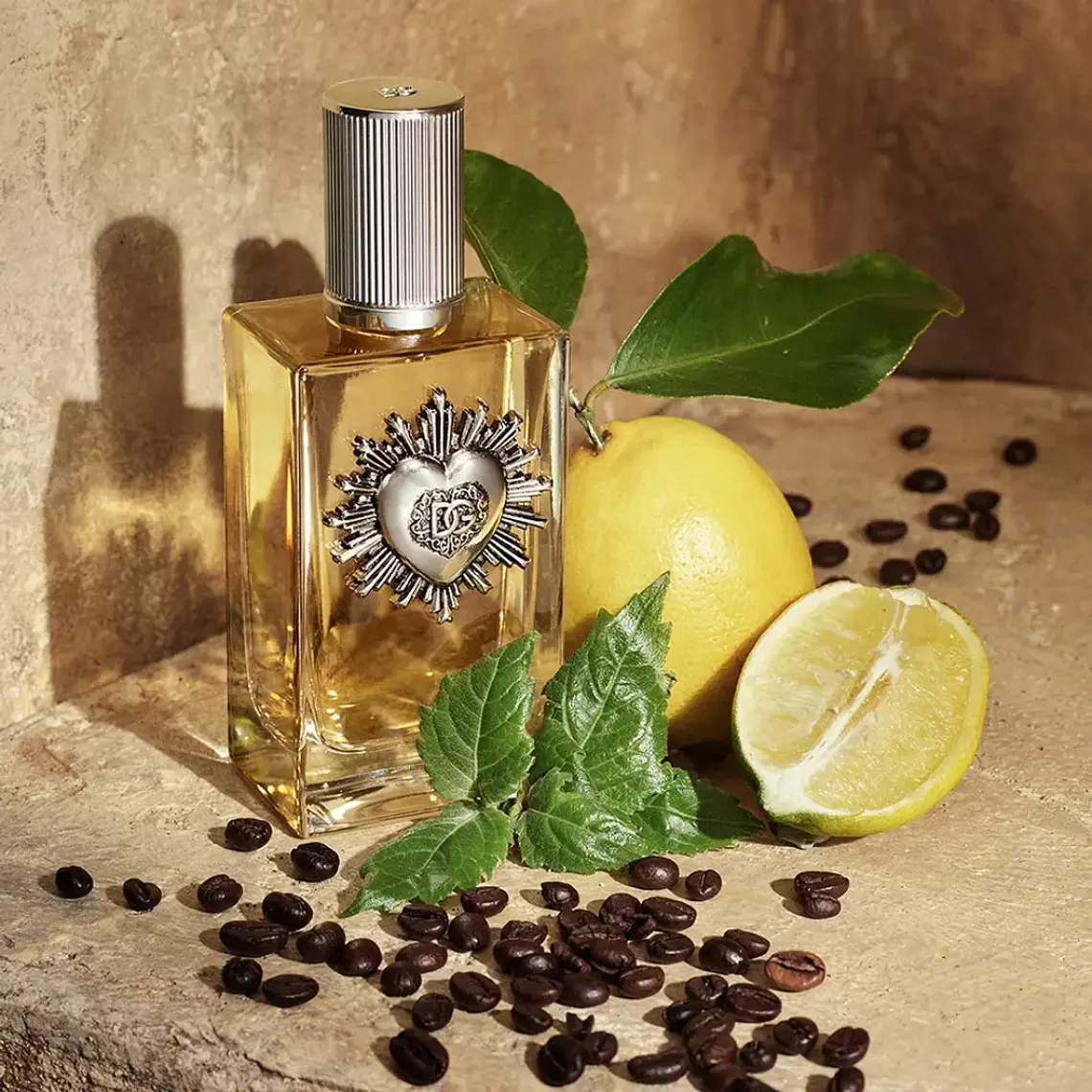 Dolce & Gabbana Devotion Pour Homme Eau de Parfum 6
