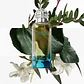 Hermés Un Jardin en Méditerranée Woman Eau de Toilette - Thumbnail 2