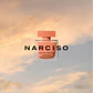 Narciso Rodriguez Ambrée Eau de Parfum - Thumbnail 4