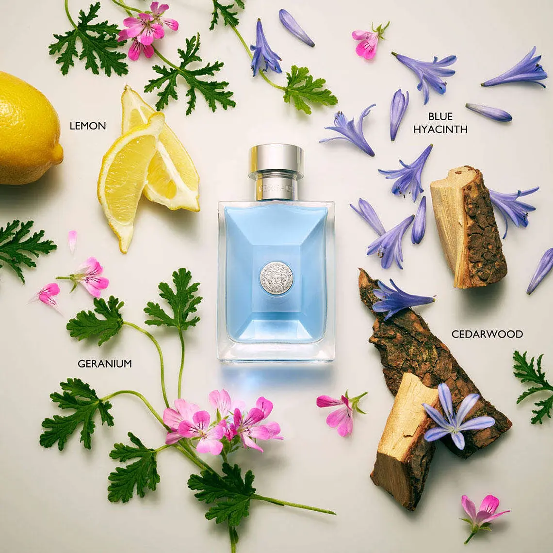 Versace Pour Homme Eau de Toilette 5