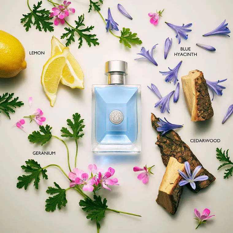 Versace Pour Homme Eau de Toilette 5