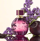 Jimmy Choo Fever Woman Eau de Parfum - Thumbnail 5