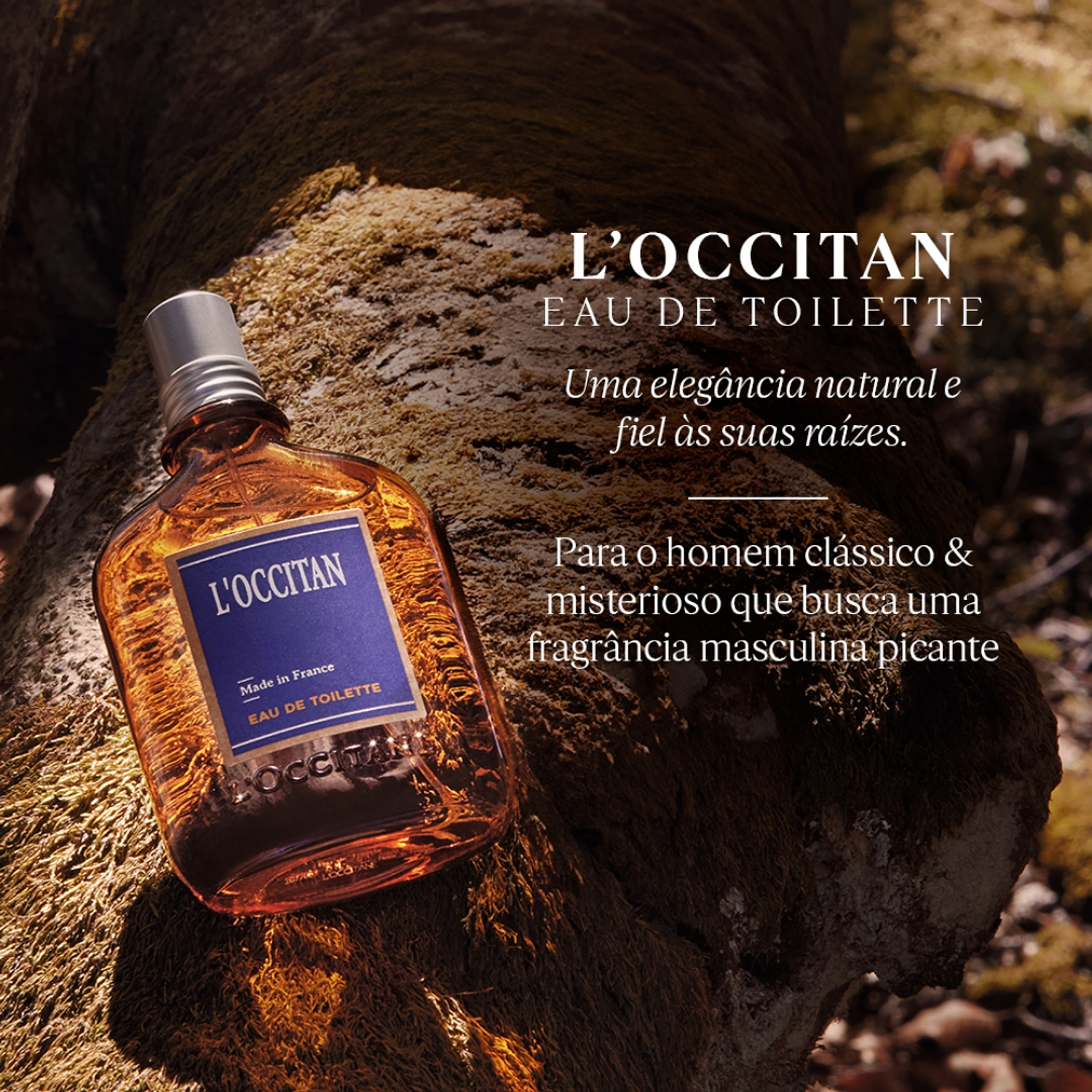 Coffret L'Occitane En Provence 2 Itens 4