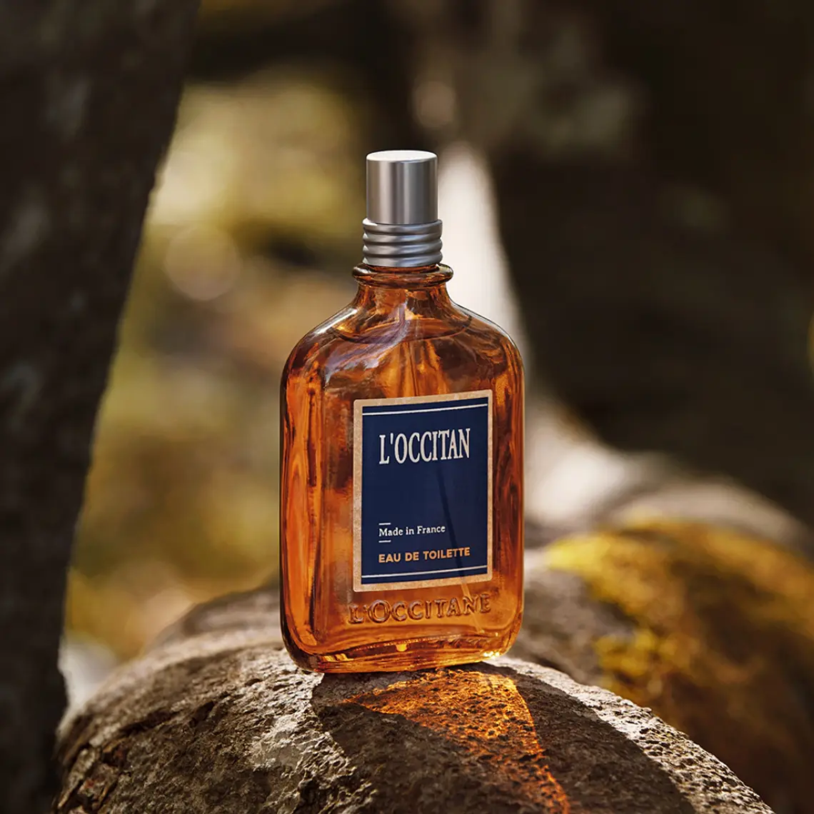 Coffret L'Occitane En Provence 2 Itens 5