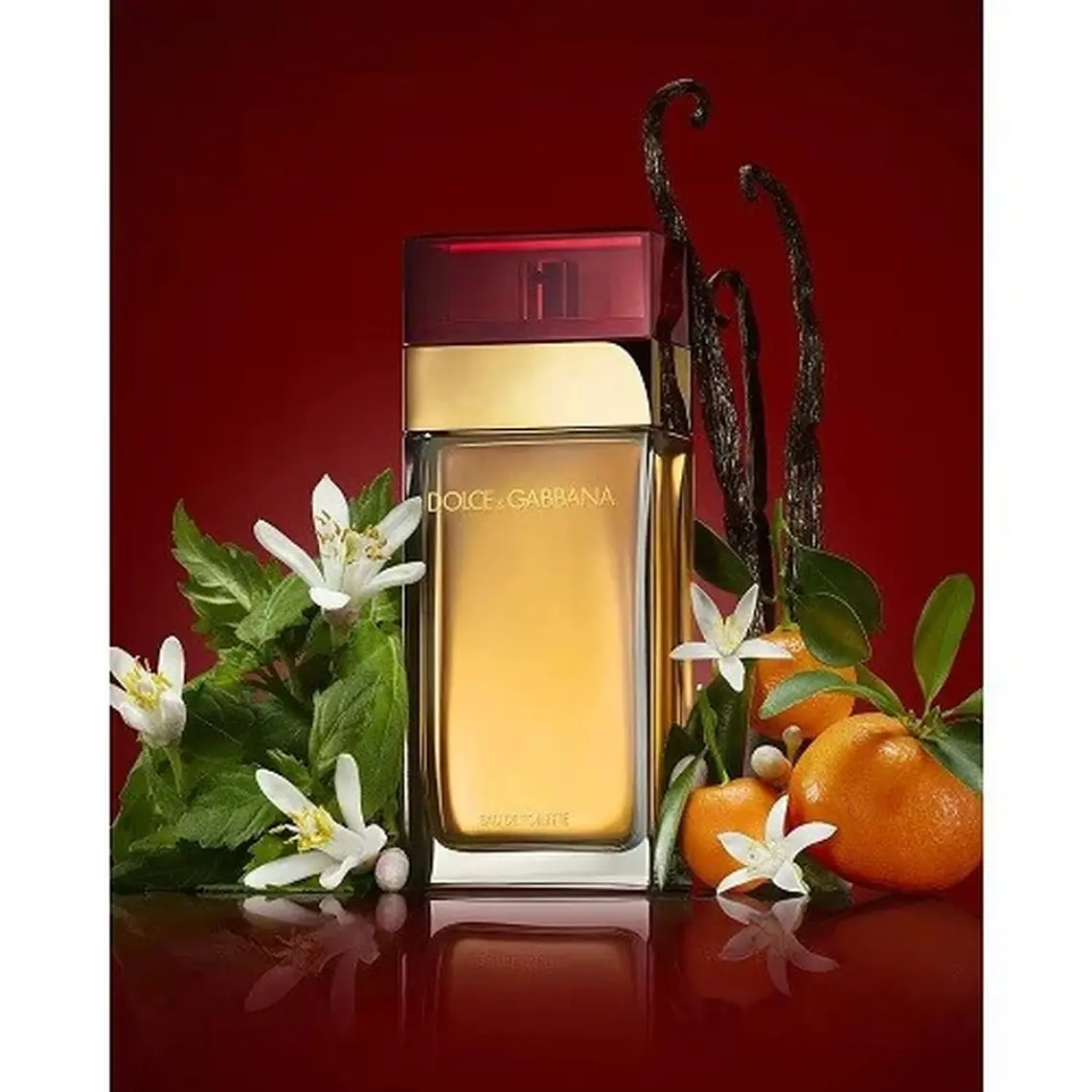 Dolce & Gabbana Pour Femme Eau de Toilette 3