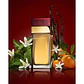 Dolce & Gabbana Pour Femme Eau de Toilette - Thumbnail 3