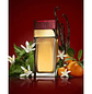 Dolce & Gabbana Pour Femme Eau de Toilette - Thumbnail 3