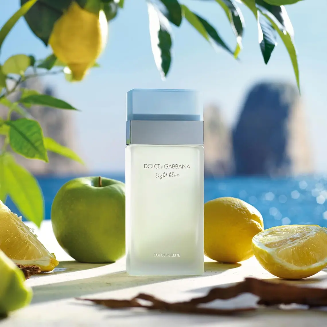 Dolce & Gabbana Light Blue Woman Eau de Toilette 7