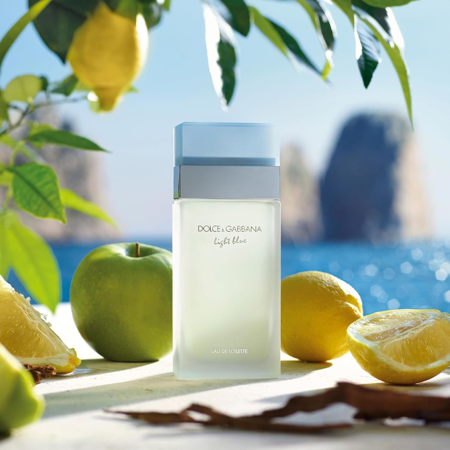 Dolce & Gabbana Light Blue Woman Eau de Toilette 7