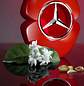 Mercedes-Benz Woman In Red Eau de Parfum - Thumbnail 6