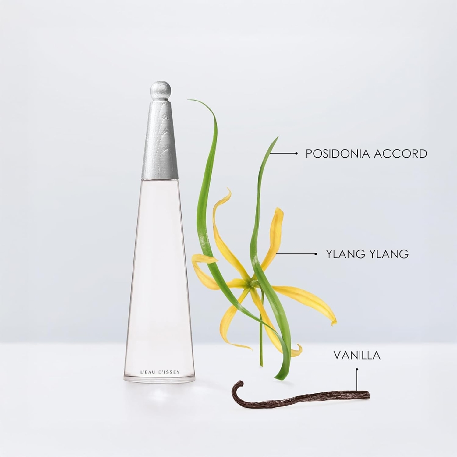 Issey Miyake L'Eau d'Issey Intense Eau de Parfum 2