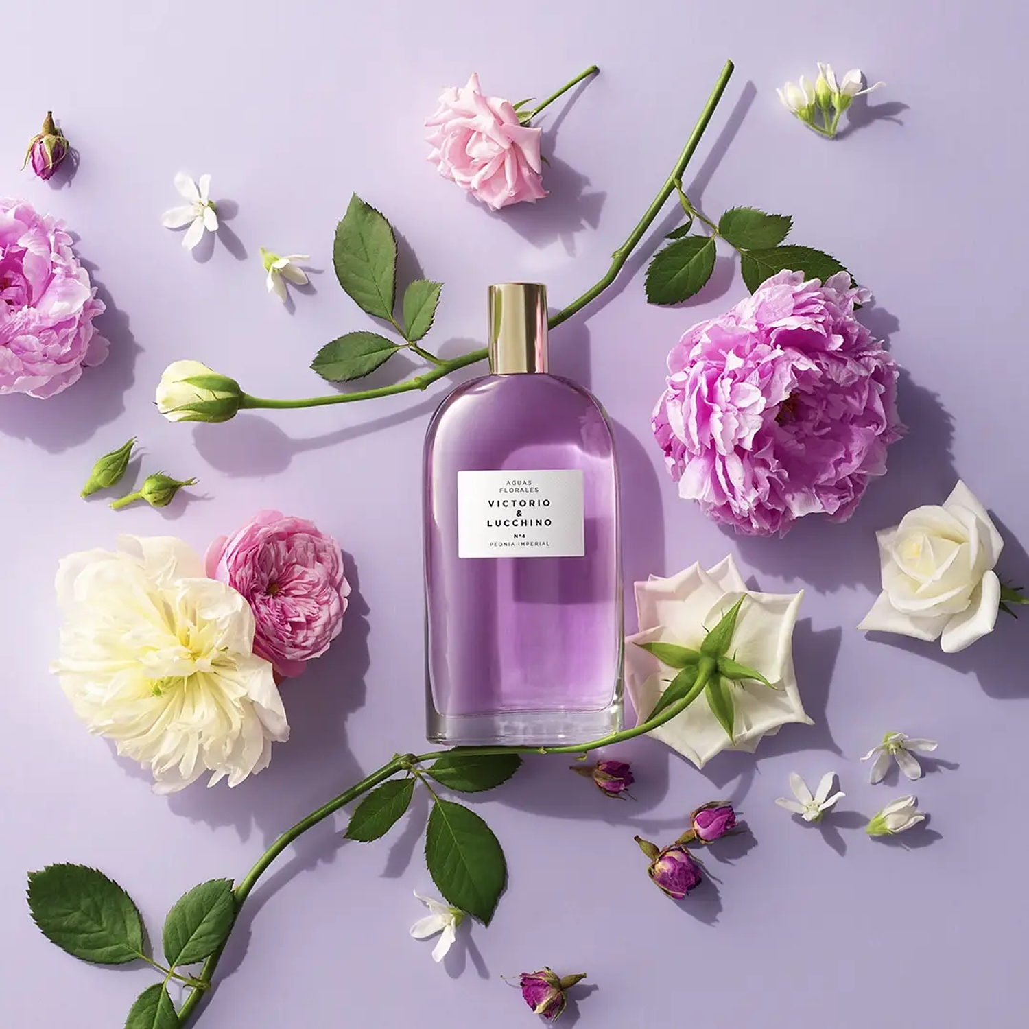 Victorio & Lucchino Agua de V&L Nº4 Woman Eau de Toilette 2