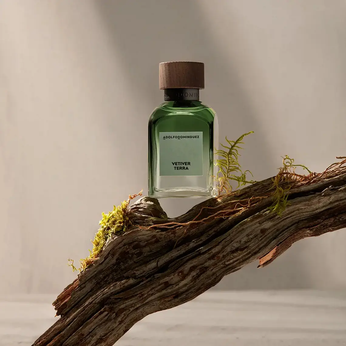 Adolfo Domínguez Vetiver Terra Eau de Parfum 5