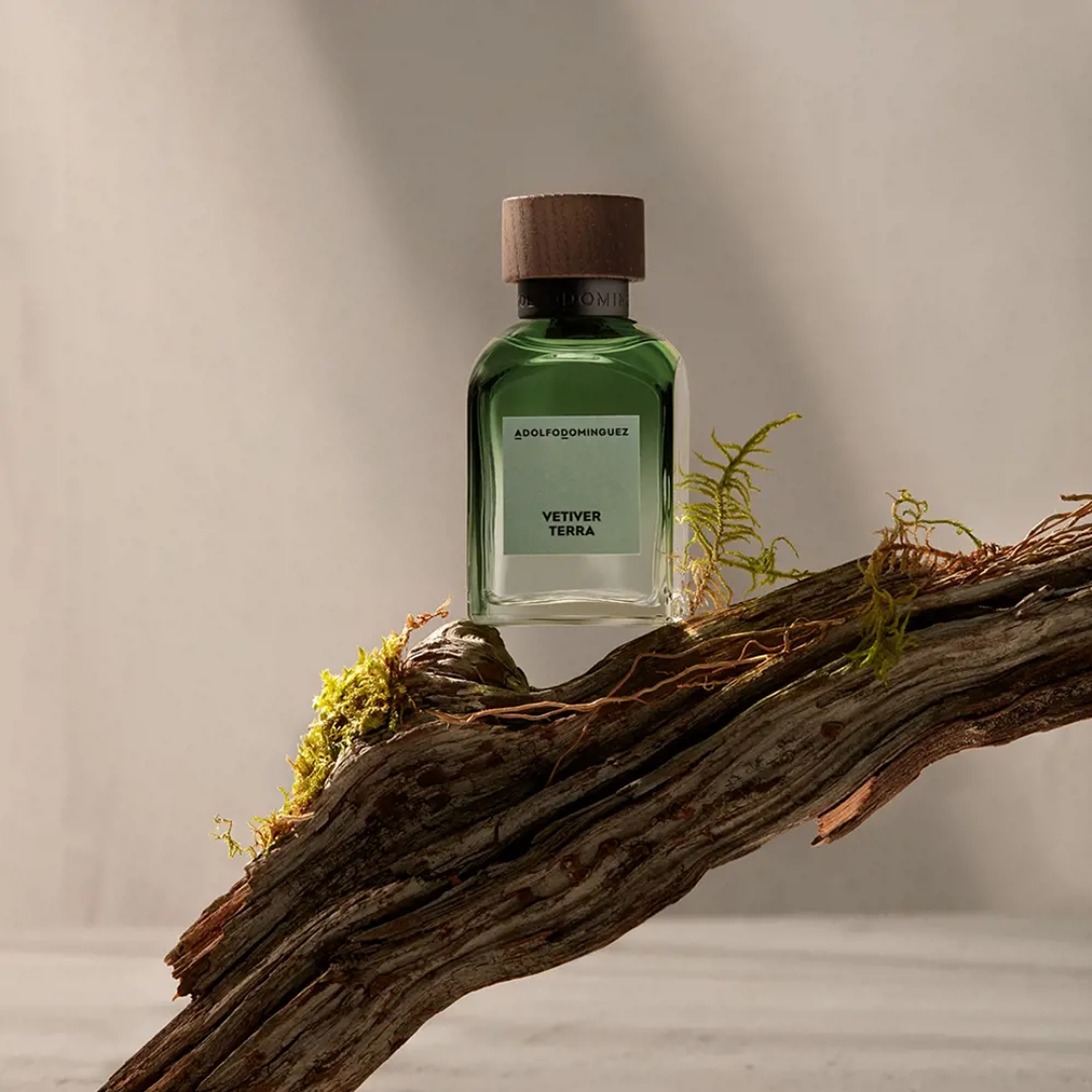 Adolfo Domínguez Vetiver Terra Eau de Parfum 5