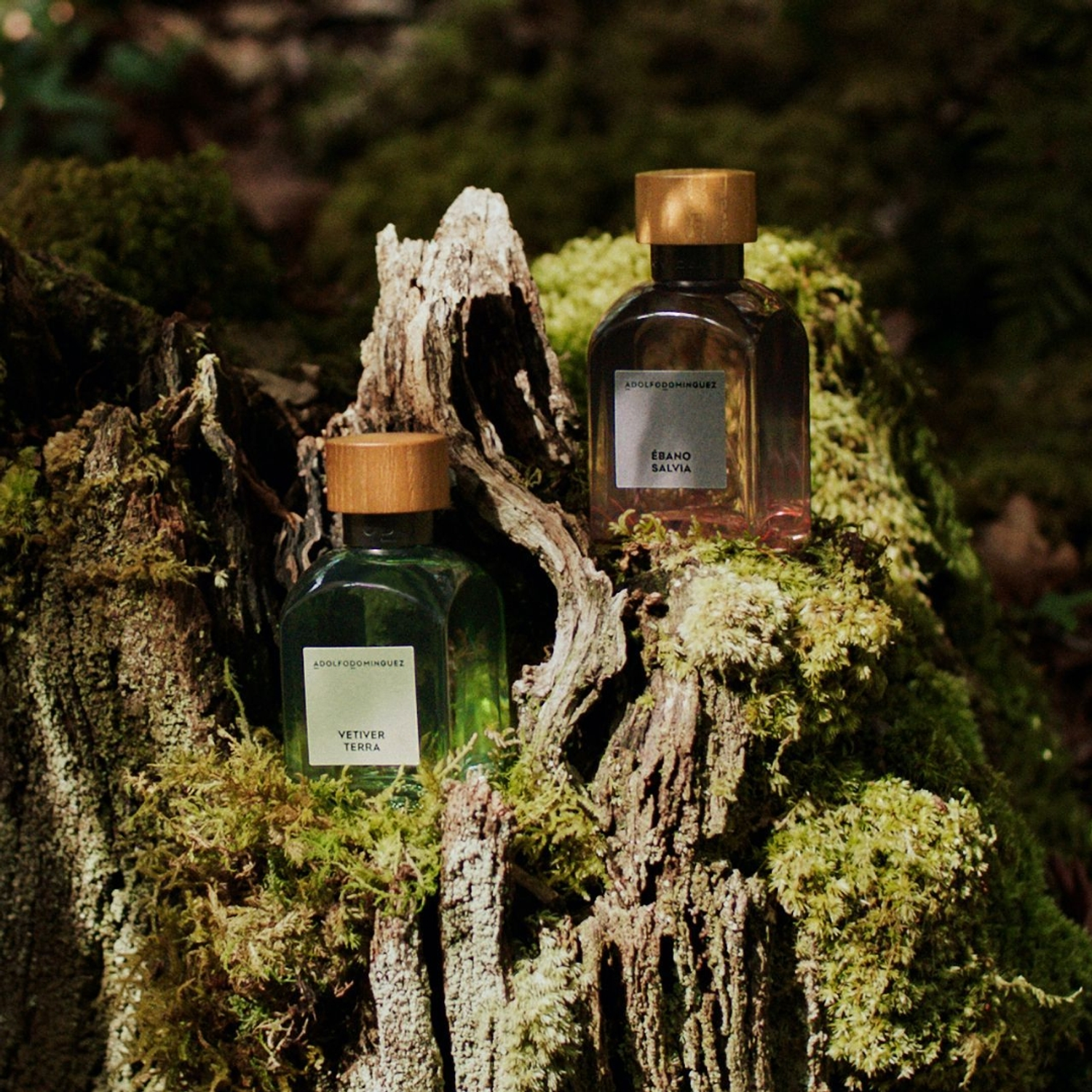 Adolfo Domínguez Vetiver Terra Eau de Parfum 4