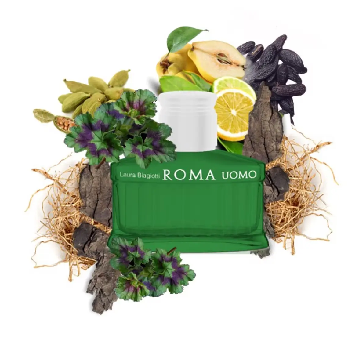 Laura Biagiotti Roma Uomo Green Swing Man Eau de Toilette 5