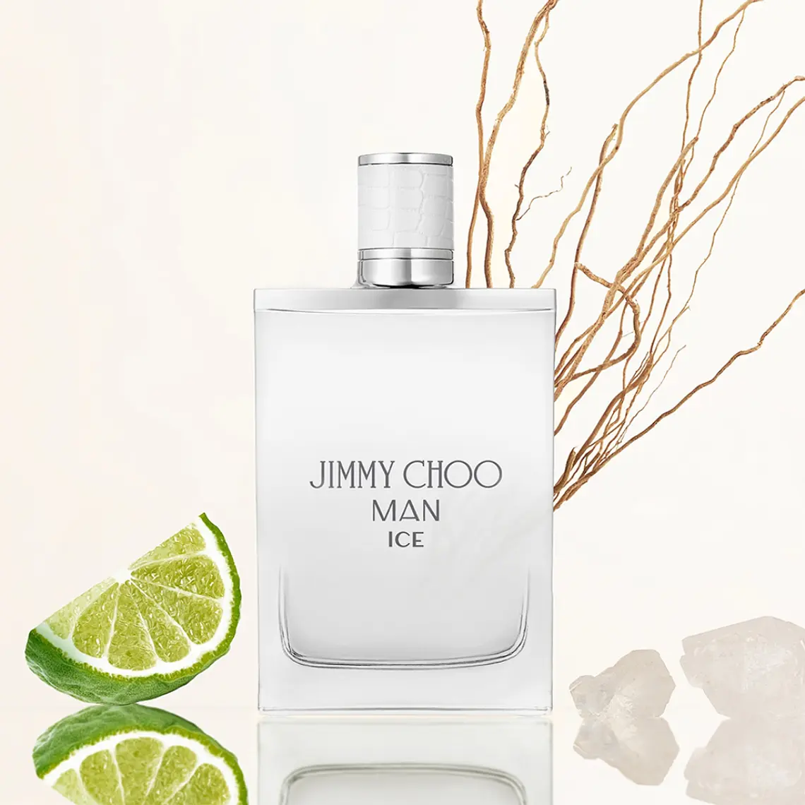 Jimmy Choo Ice Man Eau de Toilette 3