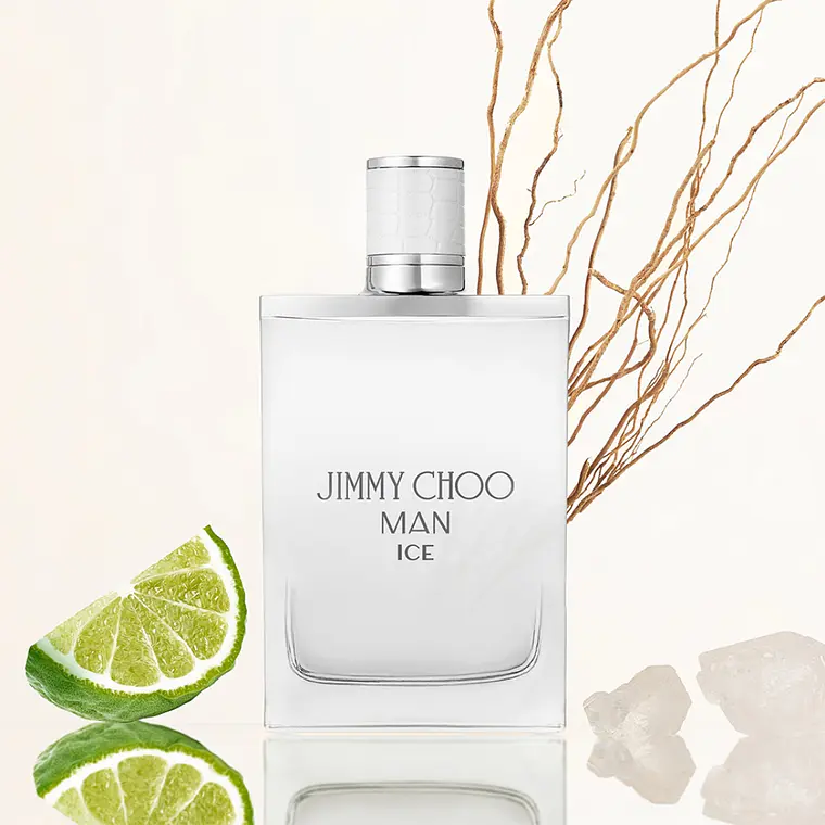 Jimmy Choo Ice Man Eau de Toilette 3