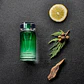 Karl Lagerfeld Bois de Cyprès Eau de Toilette - Thumbnail 3