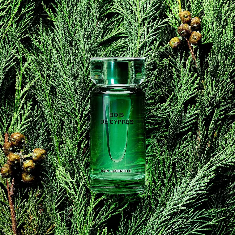 Karl Lagerfeld Bois de Cyprès Eau de Toilette 4