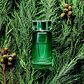 Karl Lagerfeld Bois de Cyprès Eau de Toilette - Thumbnail 4