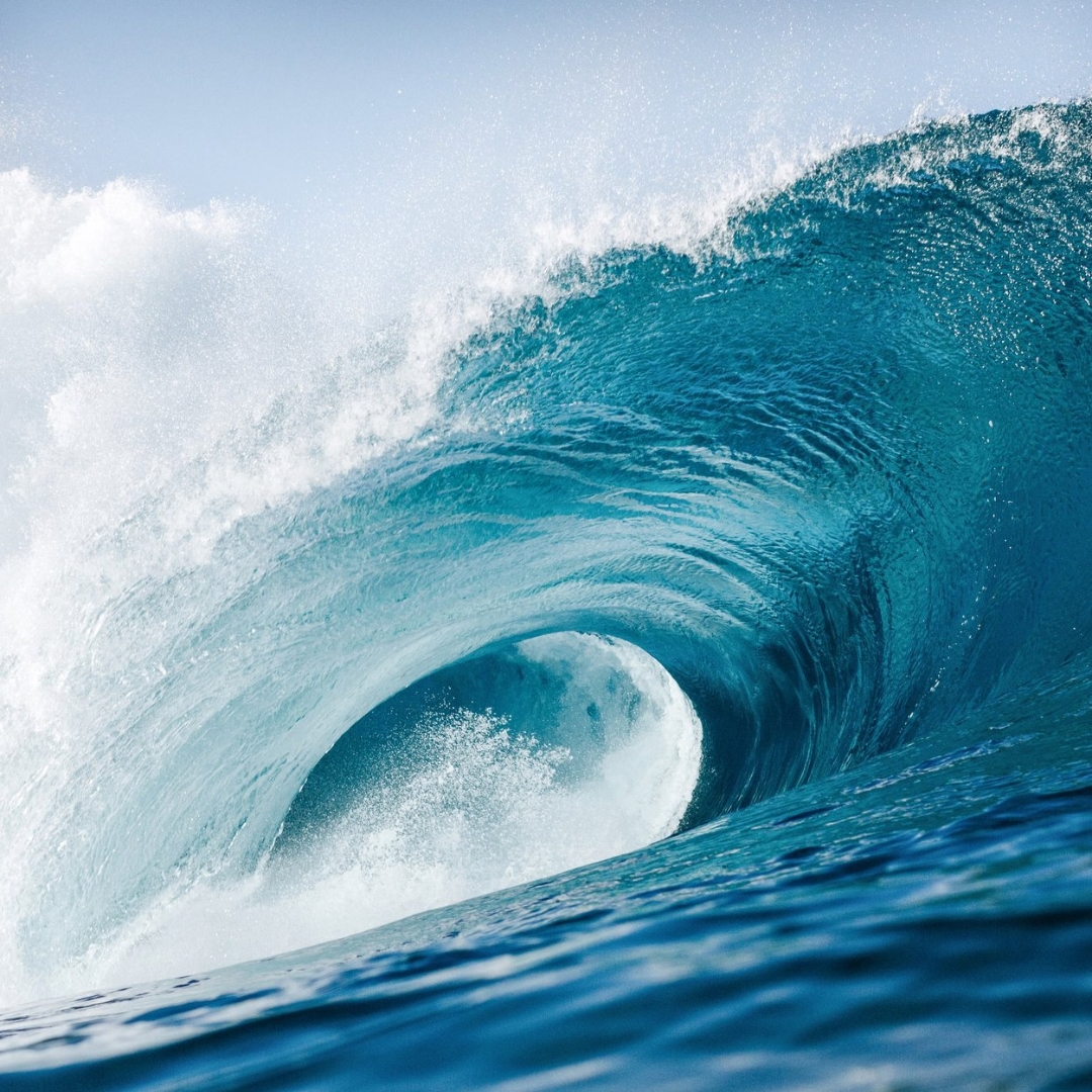 Perfumes Aquáticos: Fragrâncias Marinhas e Aromas do Oceano
